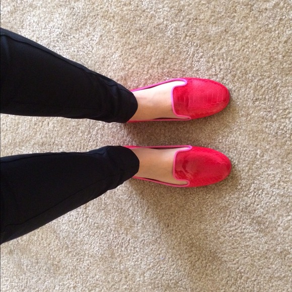 Avec Moderation - Picture 3 of 4