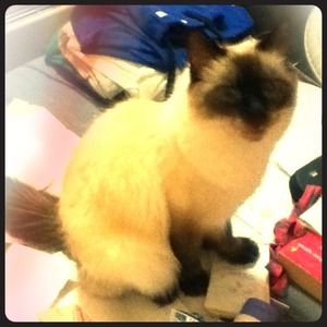 They are free and the loves of my life.