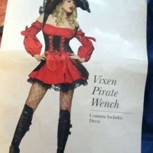 Vixen Pirate Wench