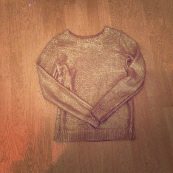 Rock and republic metallic sweater