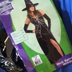 Web Spinner Witch Costume