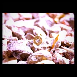 Swarovski bullet earrings