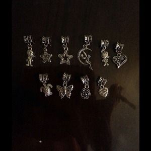 10 Beautiful charms fit European bracelets