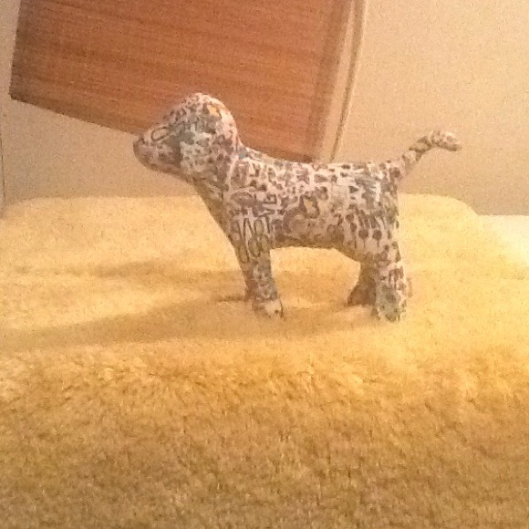 🐶Victoria's Secret Dog🐶