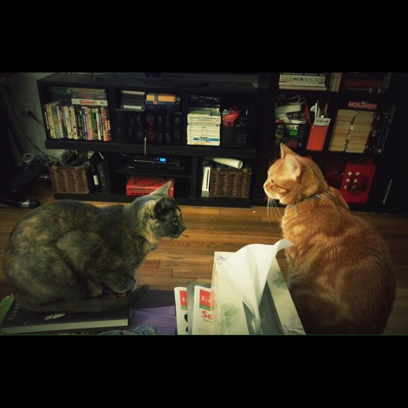 MEET YOUR SELLER/BUYER! - Picture 2 of 4