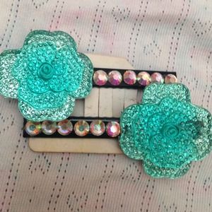 Pair of cute blinged out hair clips