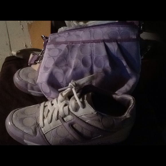 Lavender coach combo