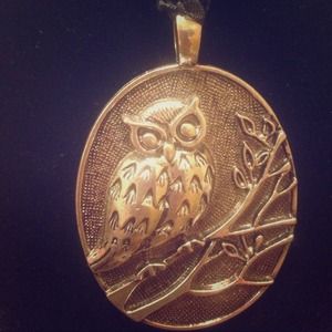 Silver Owl Necklace