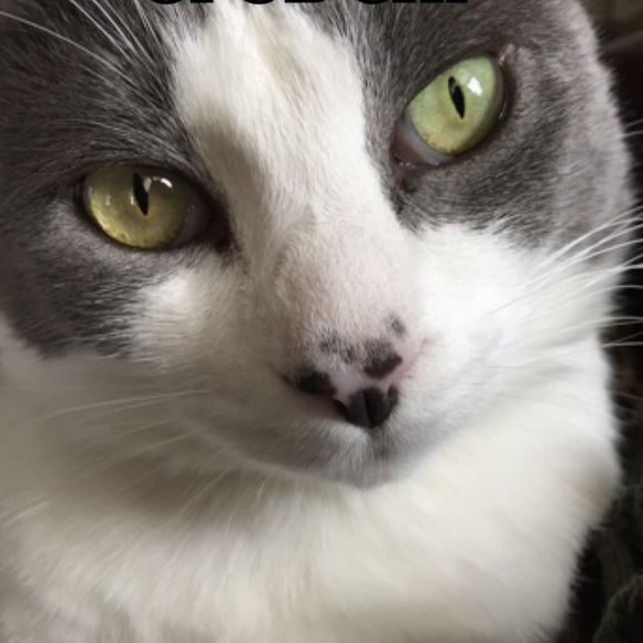 ✨🌟Meet your seller/buyer!!!🌟✨ - Picture 3 of 4