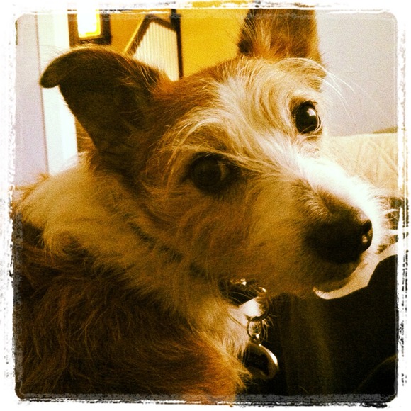 Meet your seller! - Picture 3 of 4