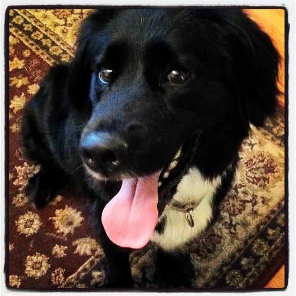 Meet your seller! - Picture 4 of 4