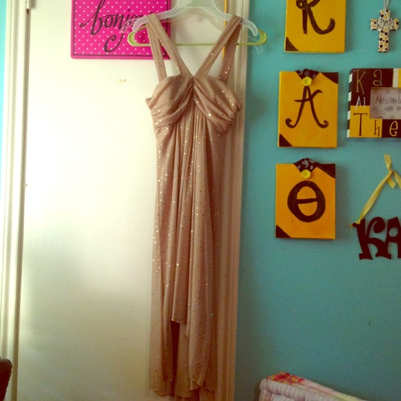 Stunning beige sequined dress