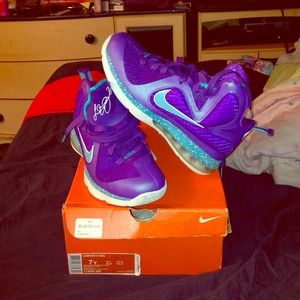 Lebron 9 Hornets