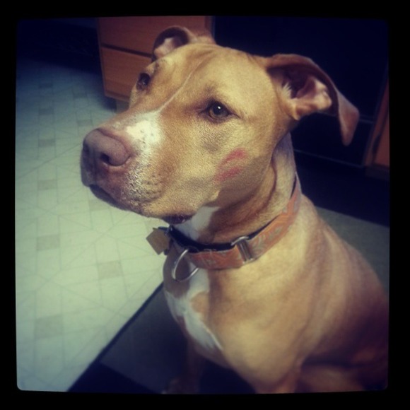 My pooch 🐶🐾