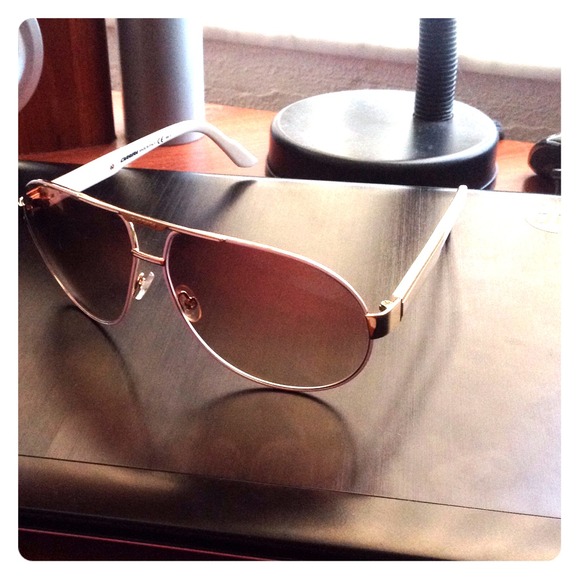 Carrera Daytona 1 sunglasses ////