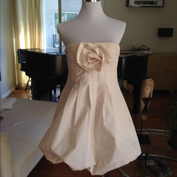 🎉HP 6/8/14🎉 Ivory Silk Rose Bubble Dress