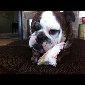Bundle for Natalie