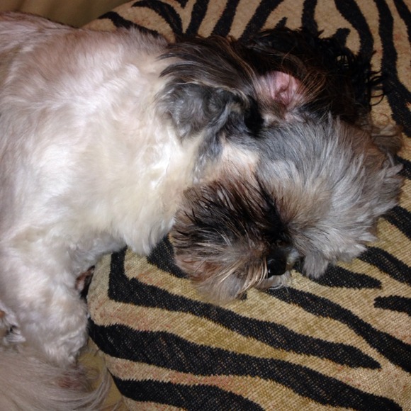 My little helper fell a sleep ...:) just sharing:)
