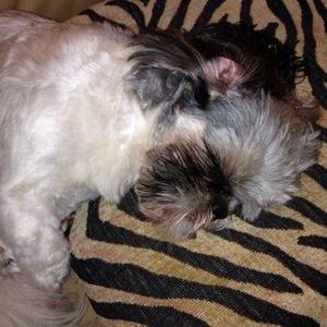 My little helper fell a sleep ...:) just sharing:)