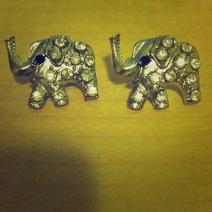 Earrings. Fashion jewelry.