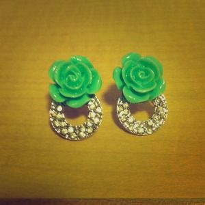 Earrings. Fashion jewelry.