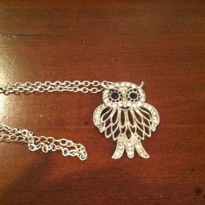 Owl necklace on long chain