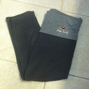 Hollister yogas