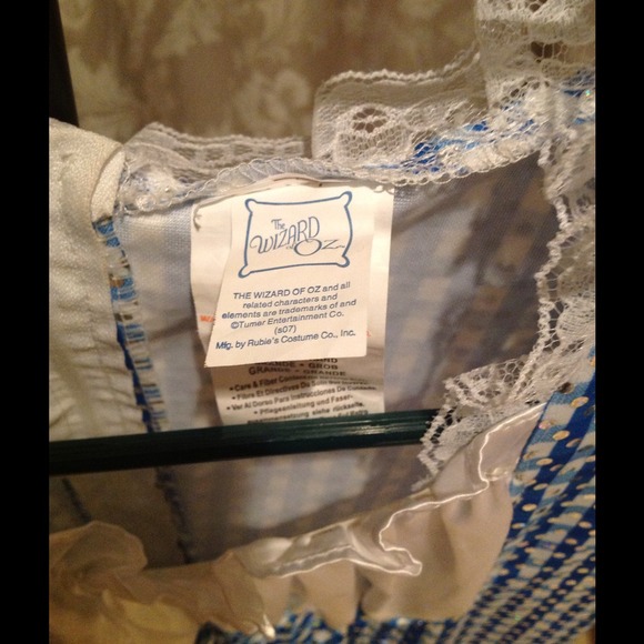 Dorothy Dress Size Large - Picture 3 of 4