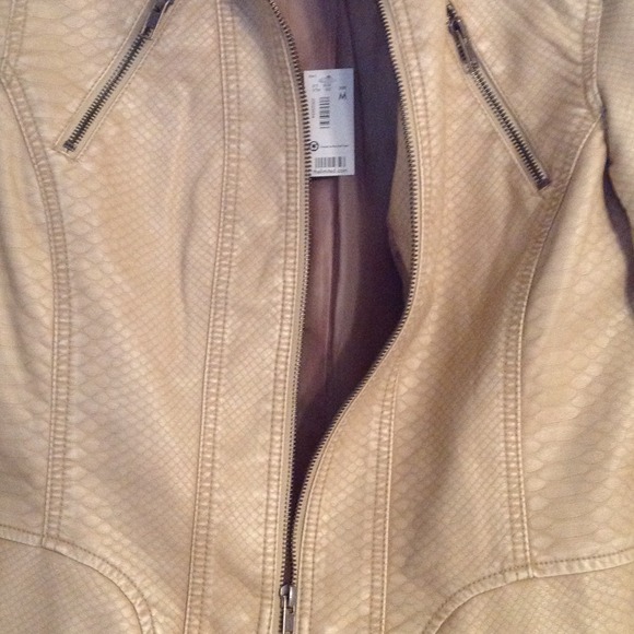 Express Jacket - Picture 3 of 3