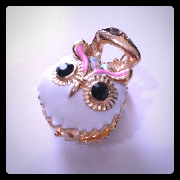 ⛔Sold⛔Owl Hair Clip / Accessories NEW