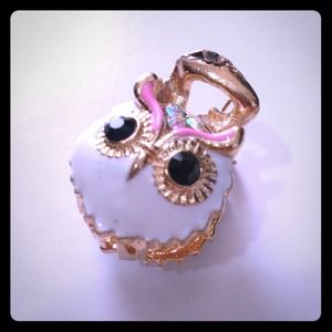 ⛔Sold⛔Owl Hair Clip / Accessories NEW