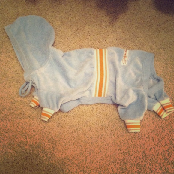 Fashion pet hoodie