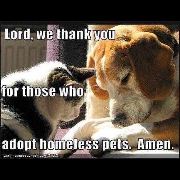 Compassion - Picture 2 of 2