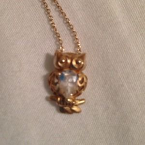 Reduced!Owl pendant and necklace