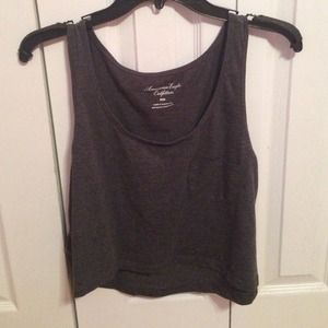 American Eagle Crop Top
