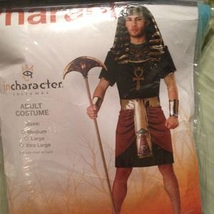 🎊SOLD🎈💸Halloween outfit king Pharaoh, Egypt
