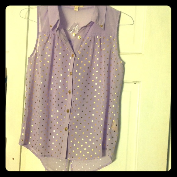 NWT Lilac and gold sheer top, never worn