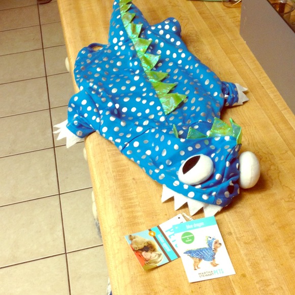 Blue dragon pet costume!
