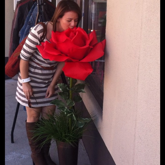 Meet your Seller - Picture 3 of 3