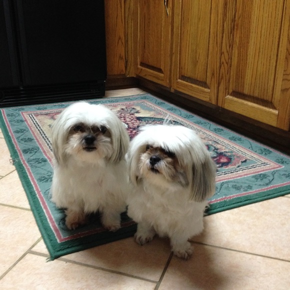 Thanks for helping me raise 4200 for the charities - Picture 4 of 4