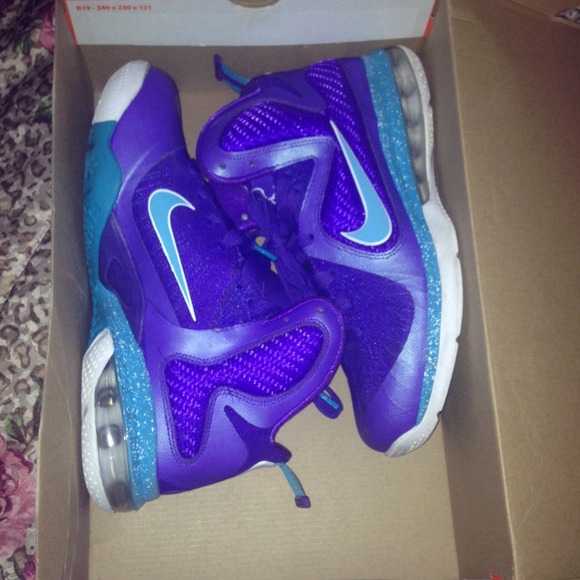 Lebron hornet 9s