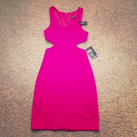 Express Fitted Dress with Side Cut-Outs