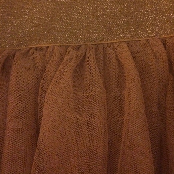 Sugar Plum?🍬Pink Lace Fossil Skirt🍬 - Picture 3 of 3