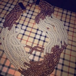 Gorgeous two tone Necklace