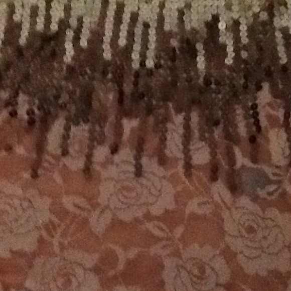 Sparkly and Lacey top - Picture 2 of 4