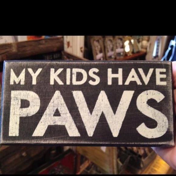 Hold for little bird