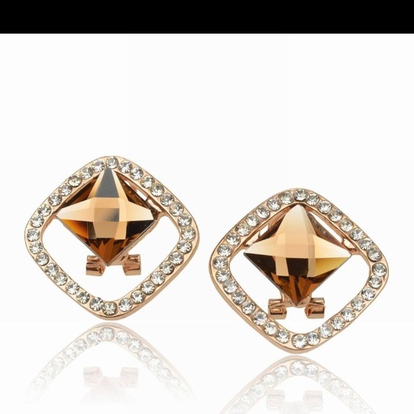 Pierced earrings