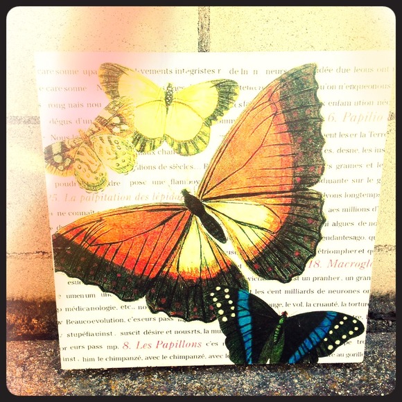 ✨Butterfly 3D Picture📷✨