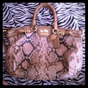 Coach bag made out of snake skin.