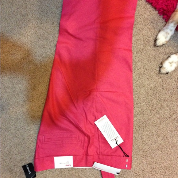 Express capris